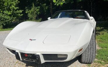 Chevrolet-Corvette-1979-white-147662-12