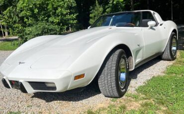 Chevrolet-Corvette-1979-white-147662-13