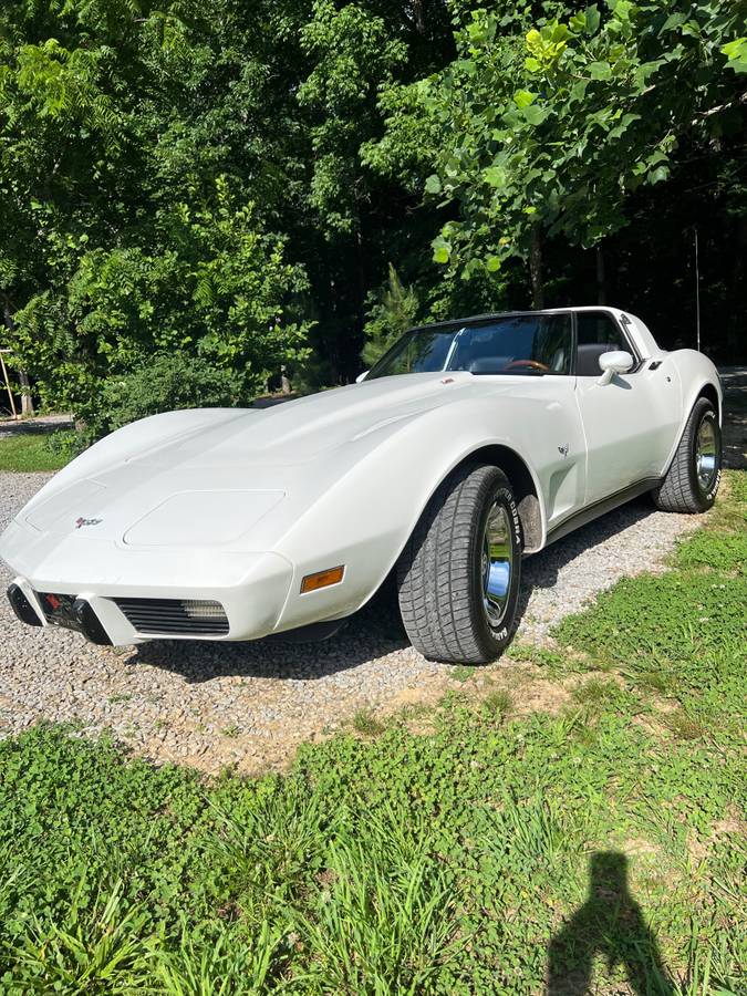 Chevrolet-Corvette-1979-white-147662-13