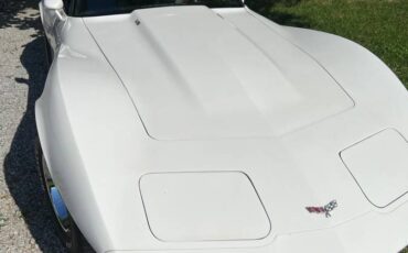 Chevrolet-Corvette-1979-white-147662-3