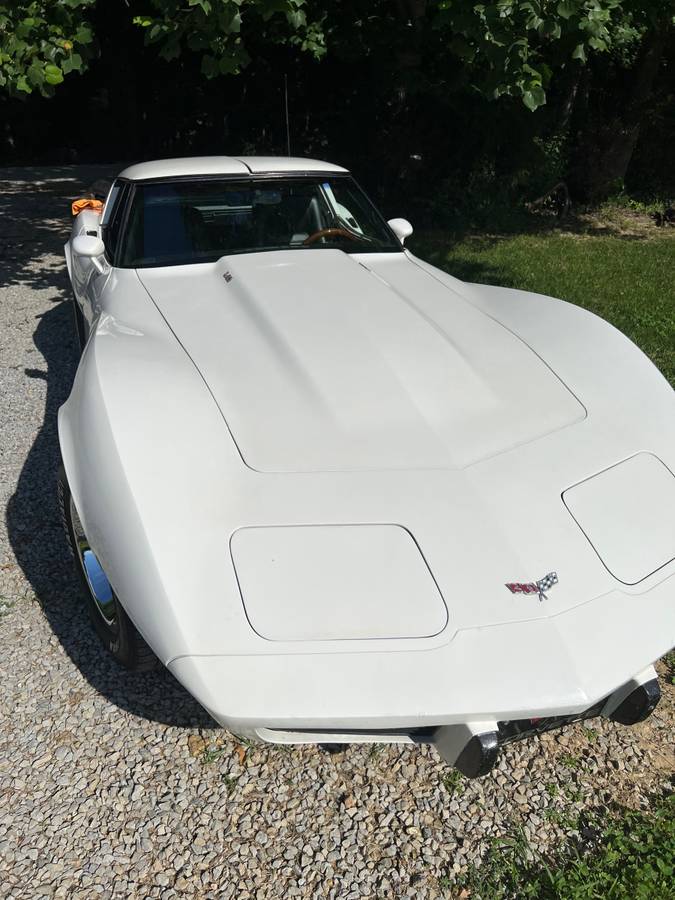 Chevrolet-Corvette-1979-white-147662-3