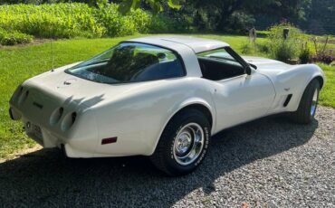 Chevrolet-Corvette-1979-white-147662-4