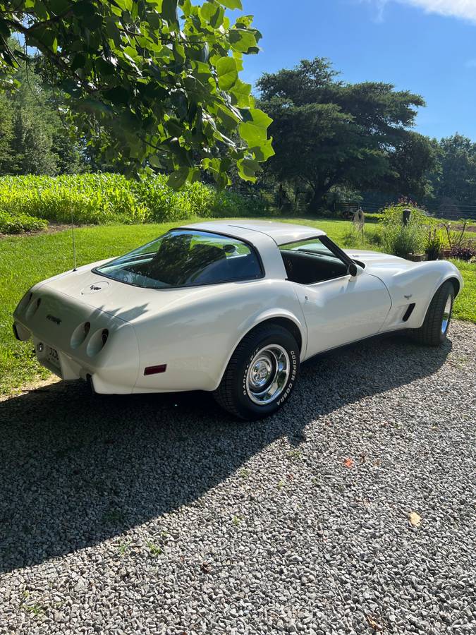 Chevrolet-Corvette-1979-white-147662-4