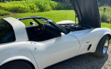 Chevrolet-Corvette-1979-white-147662-6