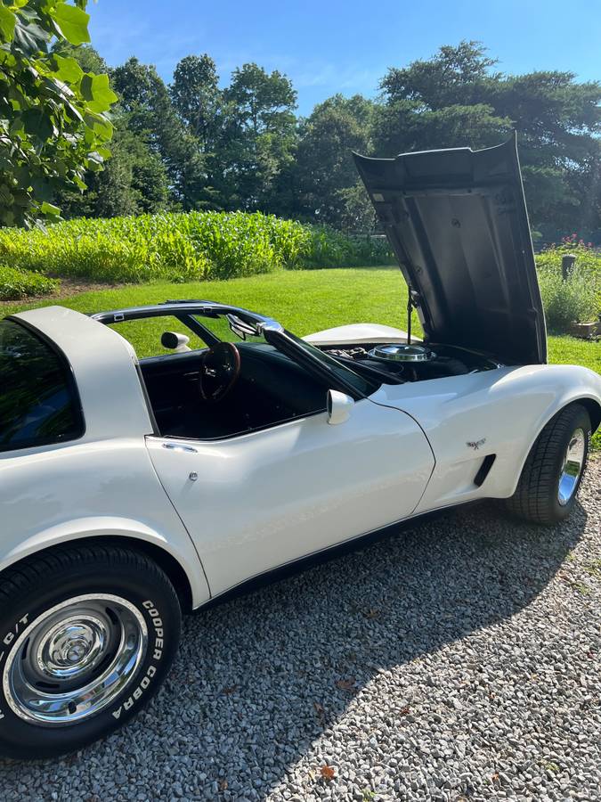 Chevrolet-Corvette-1979-white-147662-6