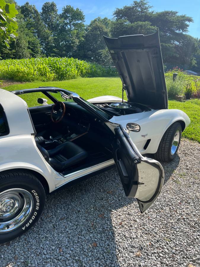 Chevrolet-Corvette-1979-white-147662-9