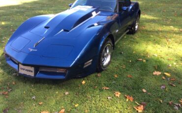 Chevrolet-Corvette-1980-6