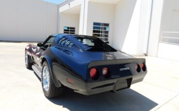 Chevrolet-Corvette-1980-9