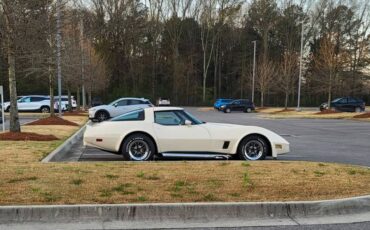 Chevrolet-Corvette-1981-4