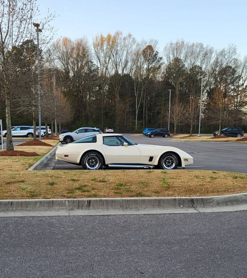 Chevrolet-Corvette-1981-4