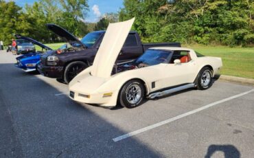 Chevrolet-Corvette-1981-9