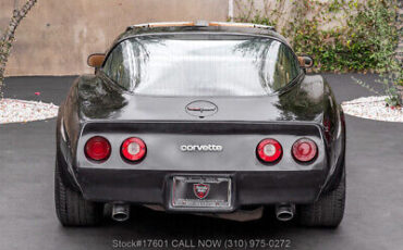 Chevrolet-Corvette-1981-Black-Other-Color-0-5