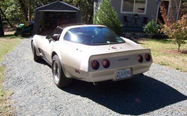 Chevrolet-Corvette-1982-7