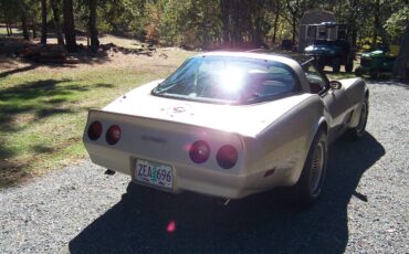 Chevrolet-Corvette-1982-9