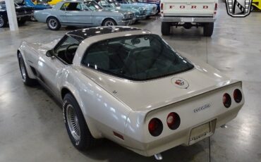 Chevrolet-Corvette-1982-Gray-Gray-129382-4