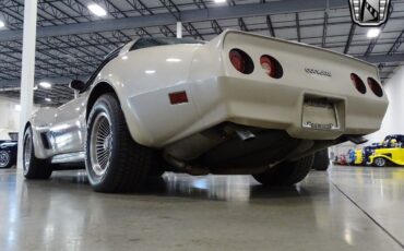 Chevrolet-Corvette-1982-Gray-Gray-129382-5