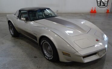 Chevrolet-Corvette-1982-Gray-Gray-129382-7