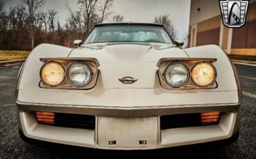 Chevrolet-Corvette-1982-Silver-Champagne-31937-10