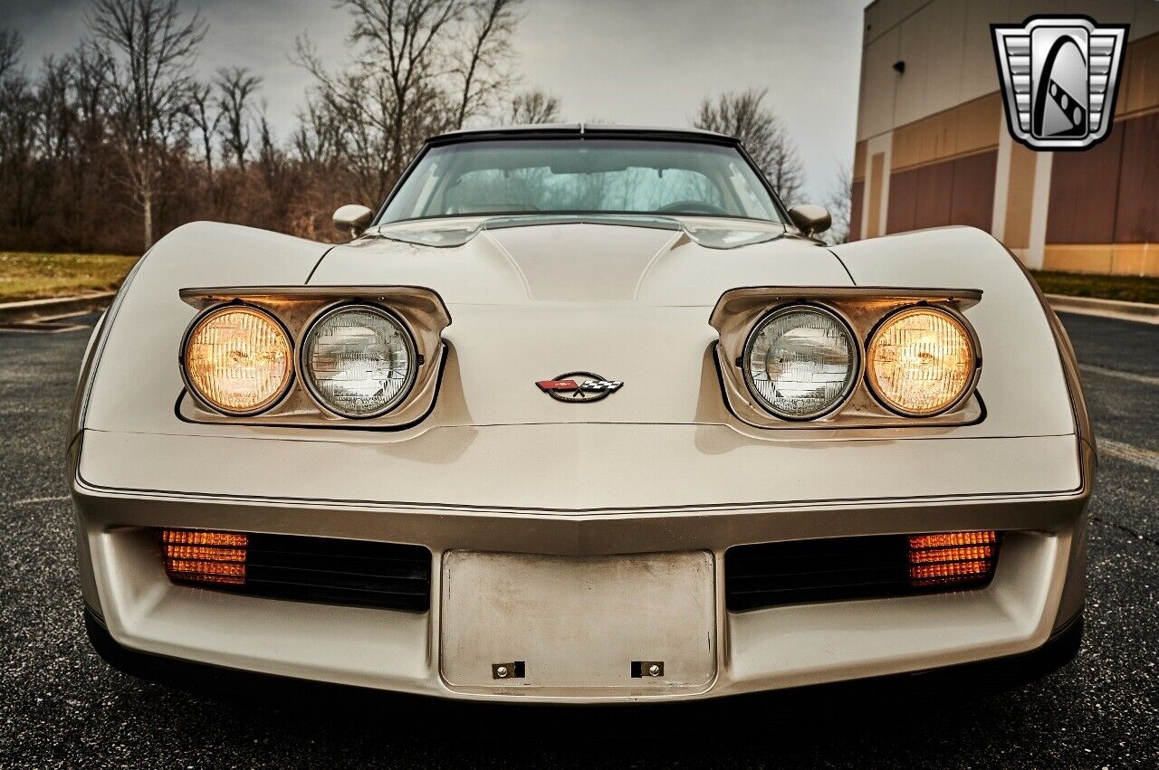 Chevrolet-Corvette-1982-Silver-Champagne-31937-10