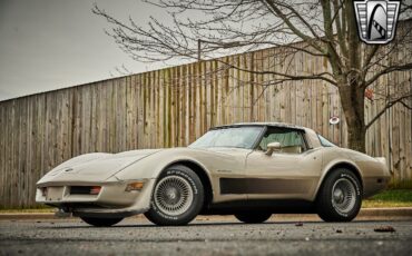 Chevrolet-Corvette-1982-Silver-Champagne-31937-2