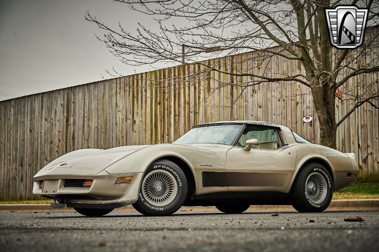 Chevrolet-Corvette-1982-Silver-Champagne-31937-2