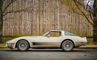 Chevrolet-Corvette-1982-Silver-Champagne-31937-3