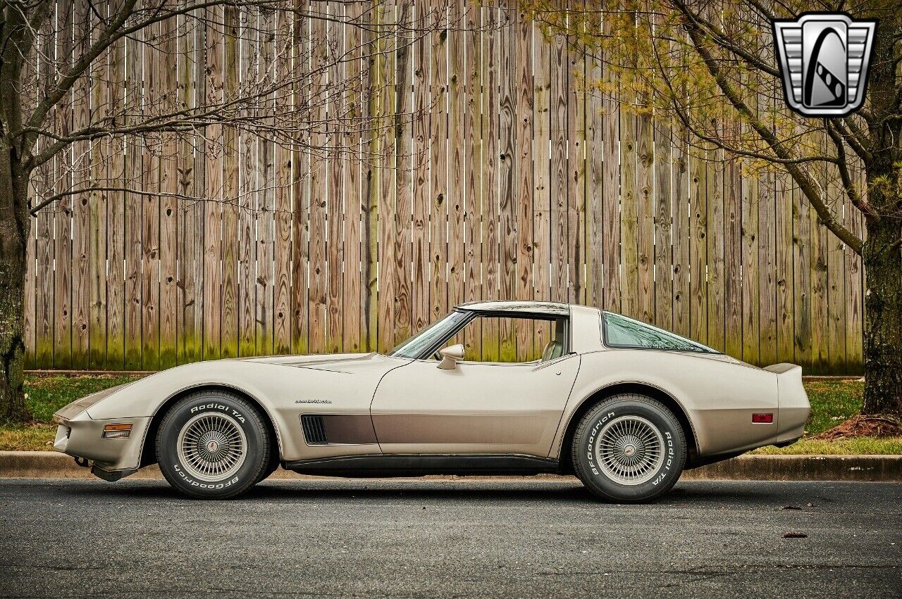 Chevrolet-Corvette-1982-Silver-Champagne-31937-3