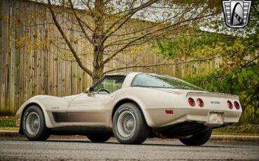 Chevrolet-Corvette-1982-Silver-Champagne-31937-4