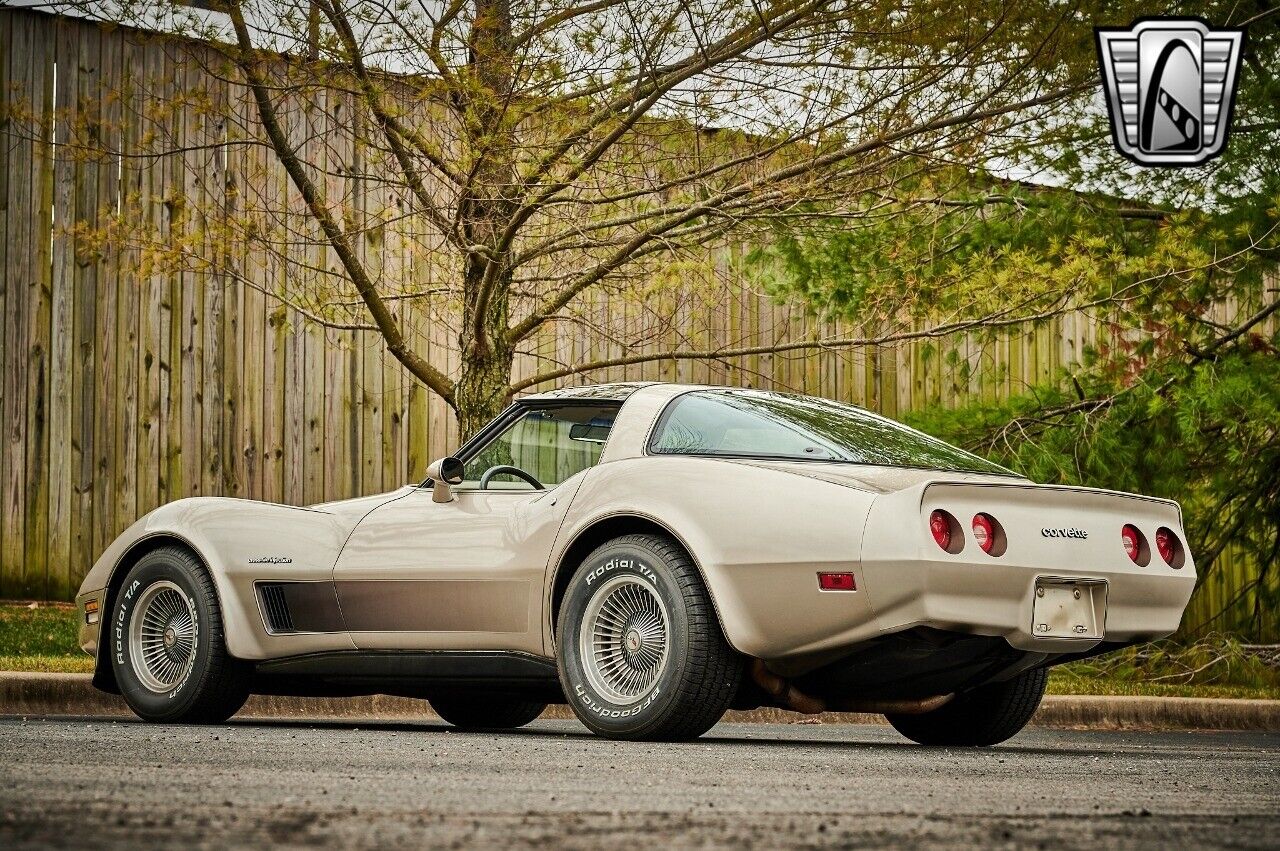 Chevrolet-Corvette-1982-Silver-Champagne-31937-4