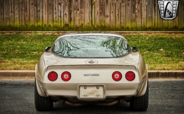 Chevrolet-Corvette-1982-Silver-Champagne-31937-5