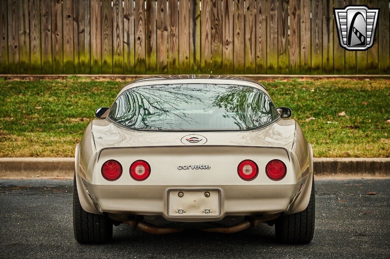 Chevrolet-Corvette-1982-Silver-Champagne-31937-5