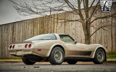 Chevrolet-Corvette-1982-Silver-Champagne-31937-6