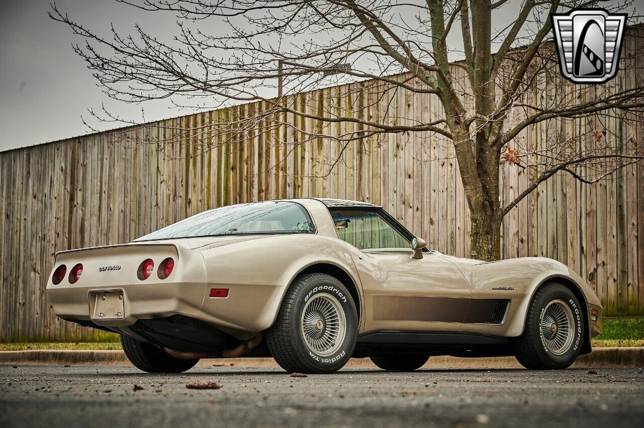 Chevrolet-Corvette-1982-Silver-Champagne-31937-6