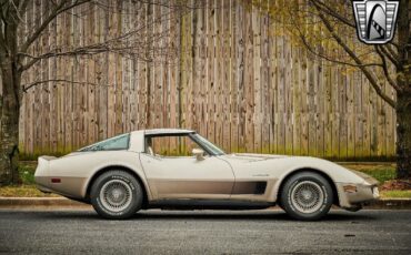 Chevrolet-Corvette-1982-Silver-Champagne-31937-7