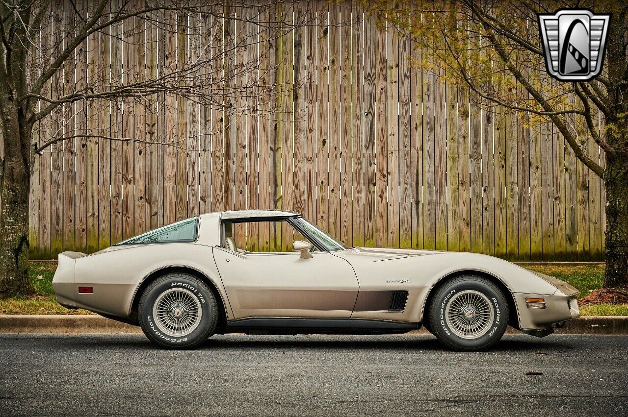 Chevrolet-Corvette-1982-Silver-Champagne-31937-7