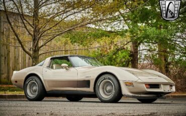 Chevrolet-Corvette-1982-Silver-Champagne-31937-8