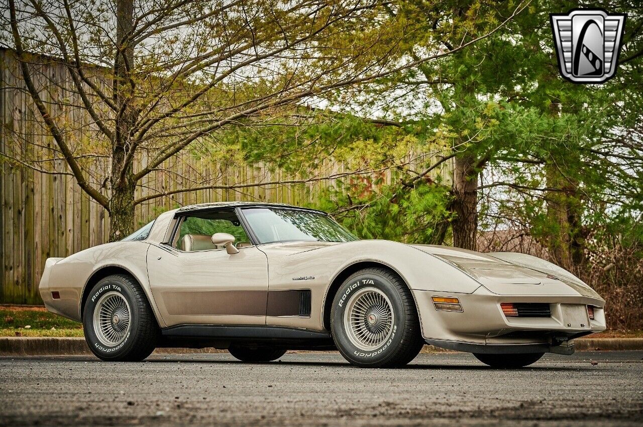 Chevrolet-Corvette-1982-Silver-Champagne-31937-8