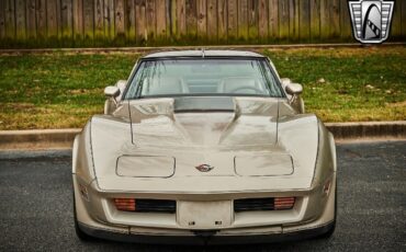 Chevrolet-Corvette-1982-Silver-Champagne-31937-9