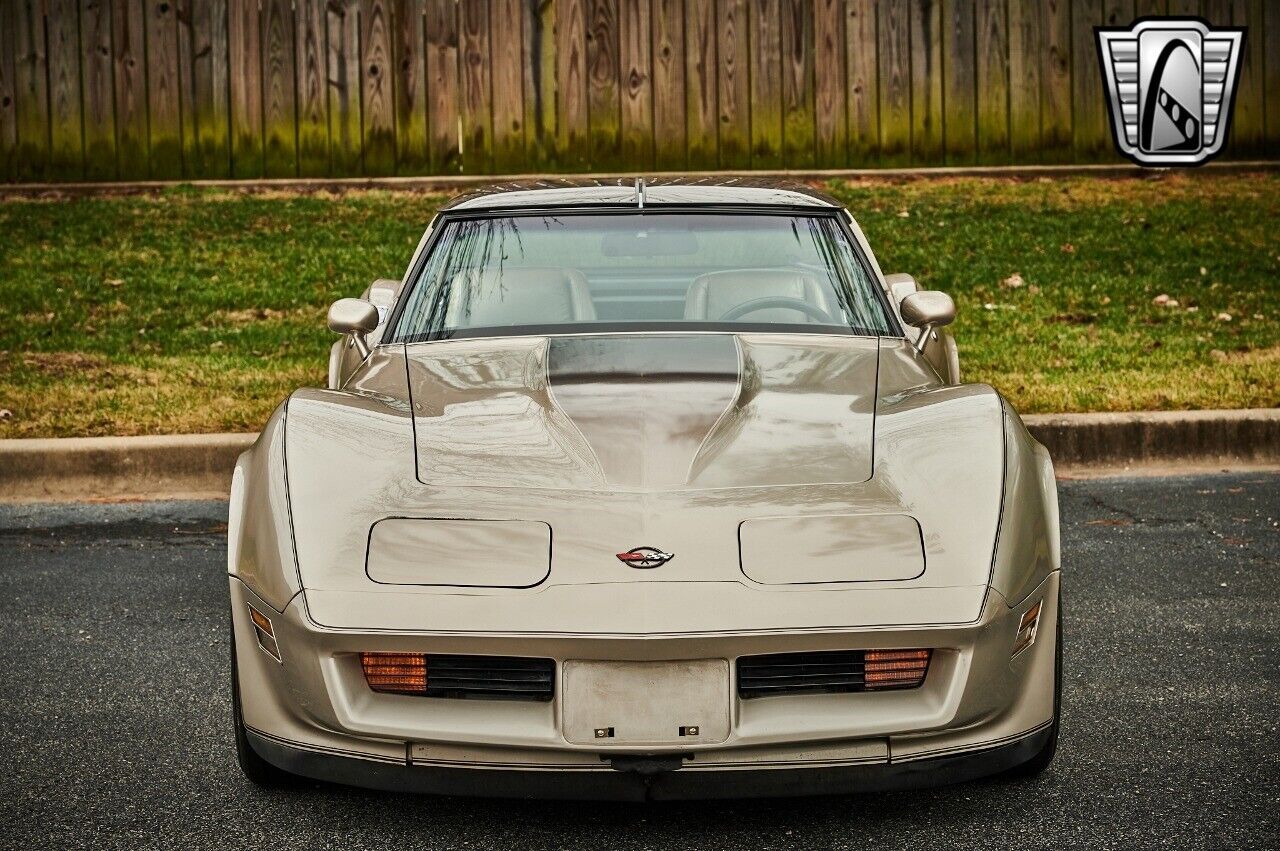 Chevrolet-Corvette-1982-Silver-Champagne-31937-9