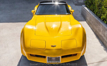 Chevrolet-Corvette-1982-Yellow-Other-Color-0-10