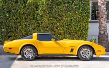 Chevrolet-Corvette-1982-Yellow-Other-Color-0-11