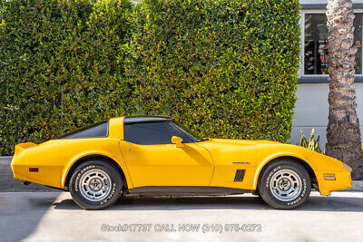 Chevrolet-Corvette-1982-Yellow-Other-Color-0-11