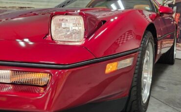 Chevrolet-Corvette-1990-Red-Saddle-1947-34