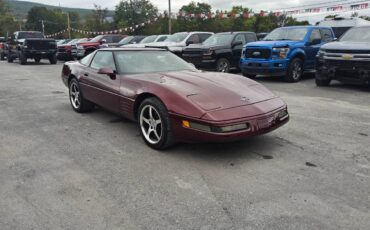 Chevrolet-Corvette-1993-130141-2