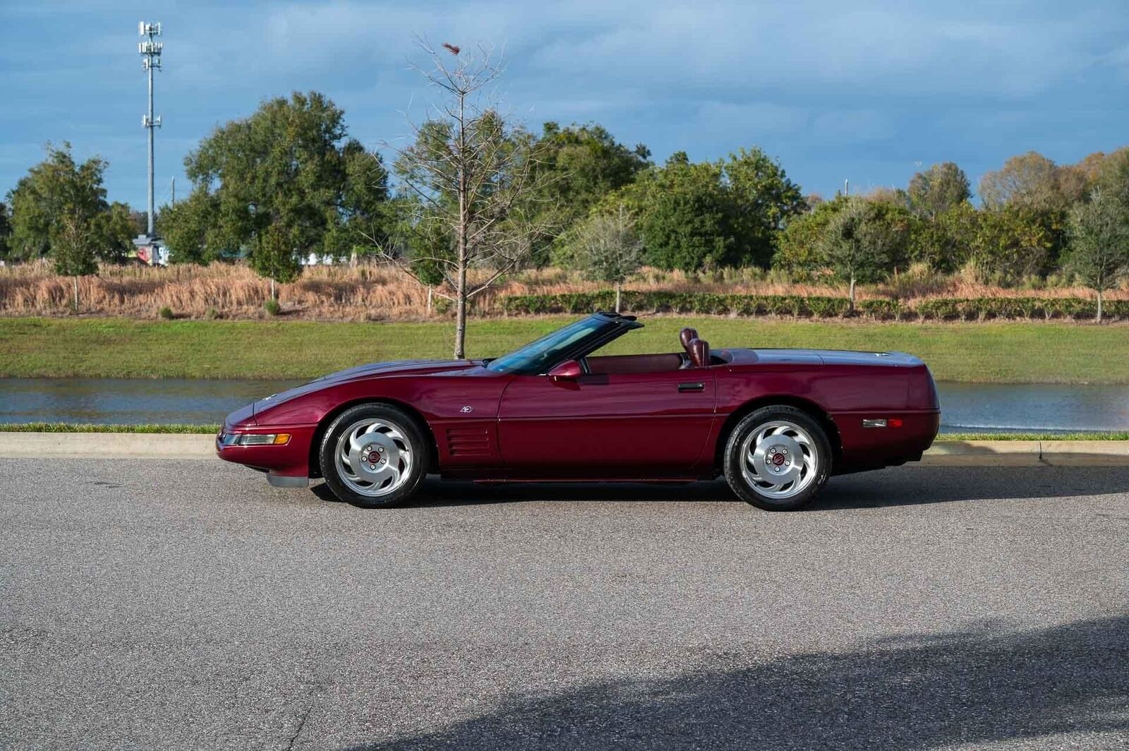 Chevrolet-Corvette-1993-Burgundy-Maroon-31128-1