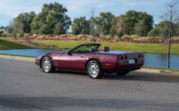 Chevrolet-Corvette-1993-Burgundy-Maroon-31128-3