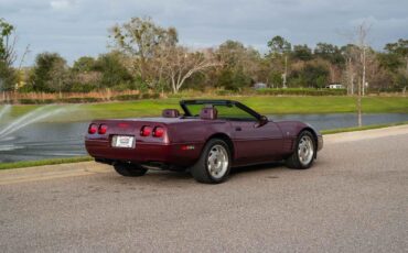 Chevrolet-Corvette-1993-Burgundy-Maroon-31128-5