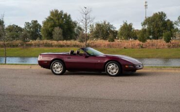 Chevrolet-Corvette-1993-Burgundy-Maroon-31128-6