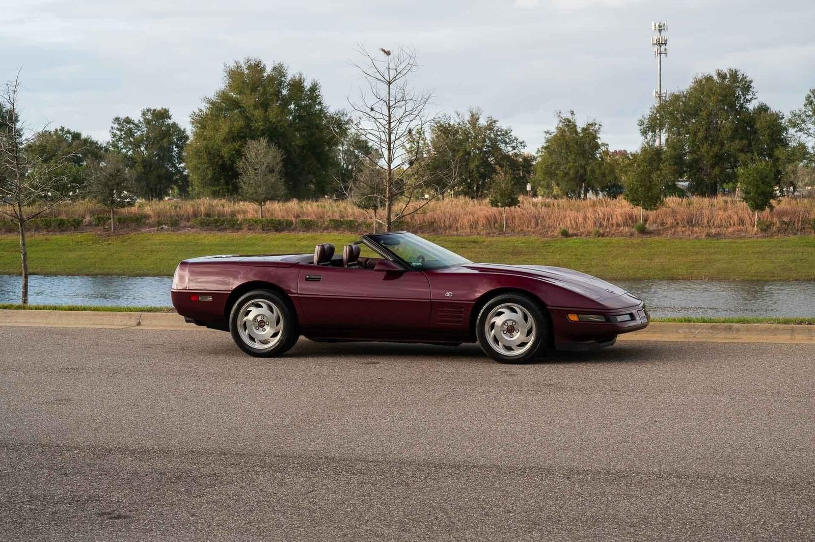 Chevrolet-Corvette-1993-Burgundy-Maroon-31128-6