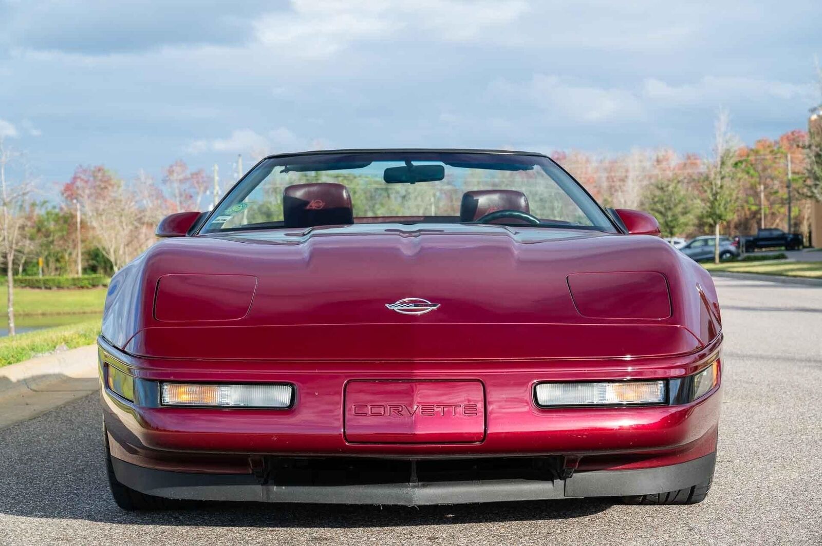 Chevrolet-Corvette-1993-Burgundy-Maroon-31128-9